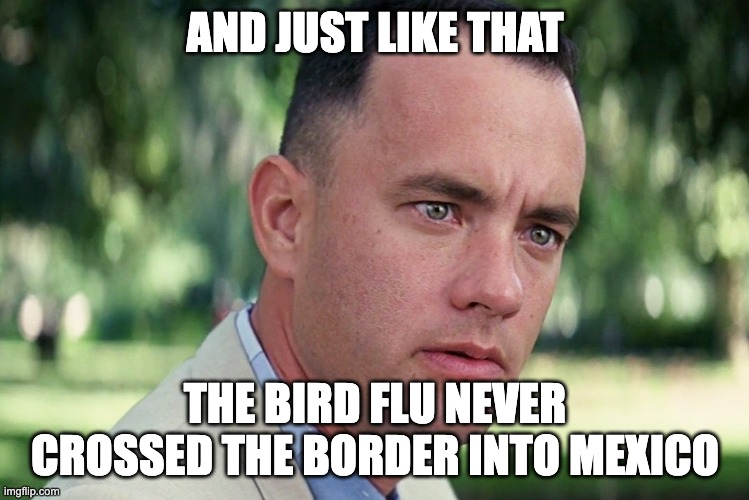 Bird Flu | AND JUST LIKE THAT; THE BIRD FLU NEVER CROSSED THE BORDER INTO MEXICO | image tagged in memes,and just like that | made w/ Imgflip meme maker