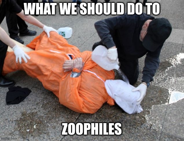 waterboarding | WHAT WE SHOULD DO TO; ZOOPHILES | image tagged in waterboarding | made w/ Imgflip meme maker