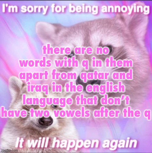 sorry for being annoying | there are no words with q in them apart from qatar and iraq in the english language that don’t have two vowels after the q | image tagged in sorry for being annoying | made w/ Imgflip meme maker