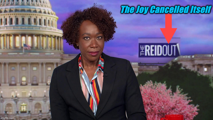 Reid Out ! Buh Bye | The Joy Cancelled Itself | image tagged in joy reid says,political meme,politics,funny memes,funny | made w/ Imgflip meme maker