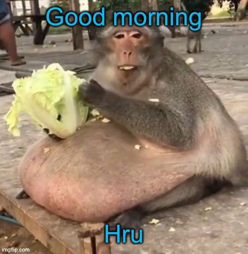 Good morning; Hru | made w/ Imgflip meme maker