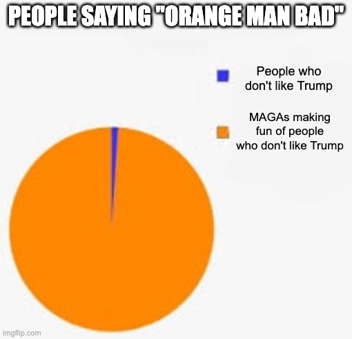 At least from what I have seen. | PEOPLE SAYING "ORANGE MAN BAD"; People who don't like Trump; MAGAs making fun of people who don't like Trump | image tagged in pie chart meme,donald trump,liberal,left | made w/ Imgflip meme maker