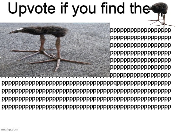i can't find him | image tagged in image for upvote beggars | made w/ Imgflip meme maker