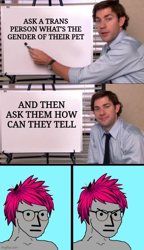 WATCH THEIR BRAINS MELT | ASK A TRANS PERSON WHAT'S THE GENDER OF THEIR PET; AND THEN ASK THEM HOW CAN THEY TELL | image tagged in jim halpert explains,liberals,transgender,democrats,gender | made w/ Imgflip meme maker