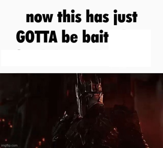 Now this has GOTTA be bait | image tagged in now this has gotta be bait | made w/ Imgflip meme maker