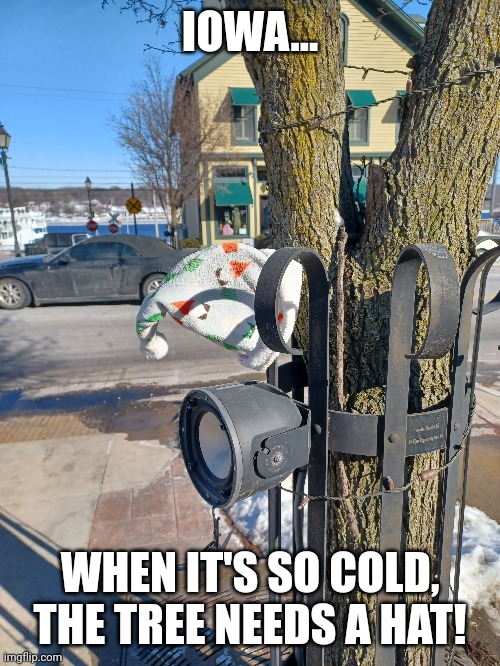 Iowa Winter | IOWA... WHEN IT'S SO COLD, THE TREE NEEDS A HAT! | image tagged in freezing cold,winter is here | made w/ Imgflip meme maker