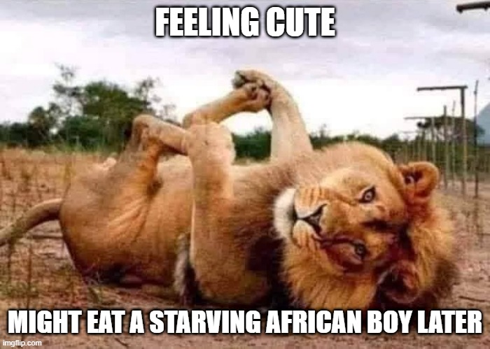 Feeling Cute | FEELING CUTE; MIGHT EAT A STARVING AFRICAN BOY LATER | image tagged in dark humor | made w/ Imgflip meme maker