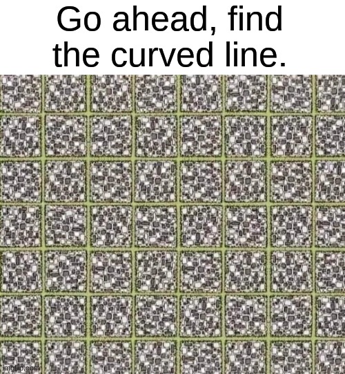 bet you can't | Go ahead, find the curved line. | image tagged in memes,funny,imgflip,cursed image,optical illusion | made w/ Imgflip meme maker