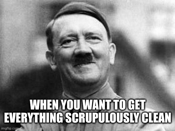 adolf hitler | WHEN YOU WANT TO GET EVERYTHING SCRUPULOUSLY CLEAN | image tagged in adolf hitler | made w/ Imgflip meme maker