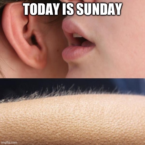 i hate sundays… | TODAY IS SUNDAY | image tagged in whisper and goosebumps | made w/ Imgflip meme maker