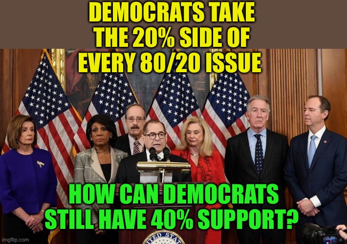 Democrats: where Democracy dies in ignorance | DEMOCRATS TAKE THE 20% SIDE OF EVERY 80/20 ISSUE; HOW CAN DEMOCRATS STILL HAVE 40% SUPPORT? | image tagged in house democrats,democrats,ignorance,woke,sad joe biden,kamala harris | made w/ Imgflip meme maker