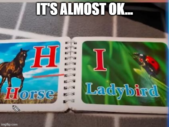 Ladybird? | IT'S ALMOST OK... | image tagged in you had one job | made w/ Imgflip meme maker