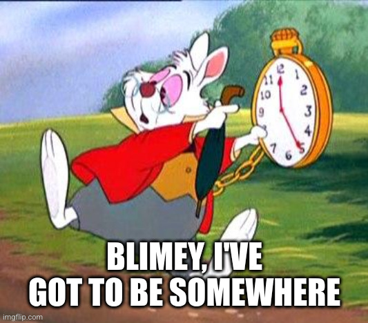 White Rabbit "I'm late!" | BLIMEY, I'VE GOT TO BE SOMEWHERE | image tagged in white rabbit i'm late | made w/ Imgflip meme maker