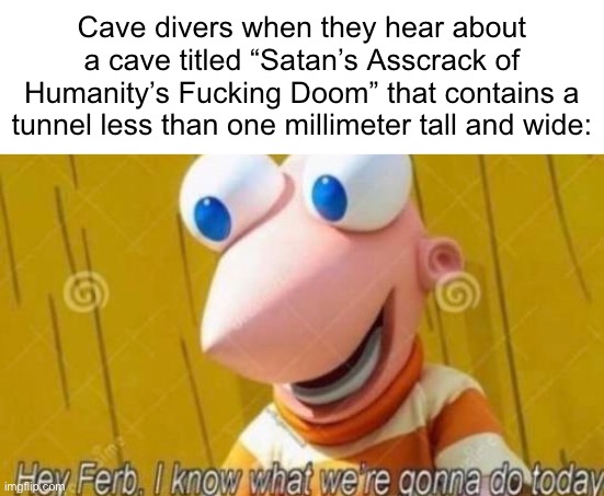 Hey Ferb | Cave divers when they hear about a cave titled “Satan’s Asscrack of Humanity’s Fucking Doom” that contains a tunnel less than one millimeter tall and wide: | image tagged in hey ferb,memes,funny,funny memes,cave,stupid | made w/ Imgflip meme maker