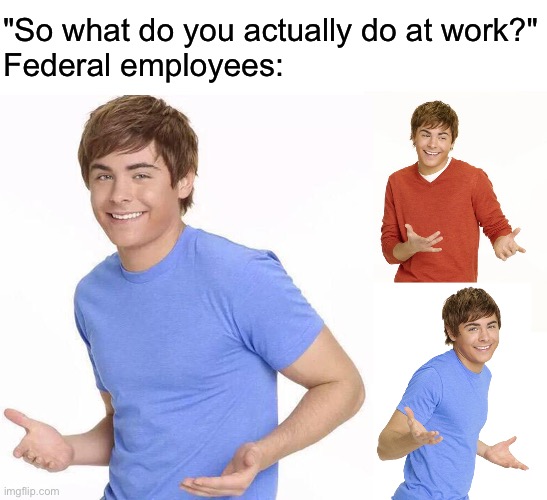 "So what do you actually do at work?"
Federal employees: | image tagged in zac efron | made w/ Imgflip meme maker