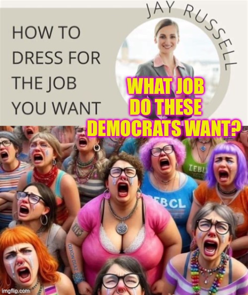 What job are they looking for? | WHAT JOB DO THESE DEMOCRATS WANT? | image tagged in gif,liberals,democrats | made w/ Imgflip meme maker