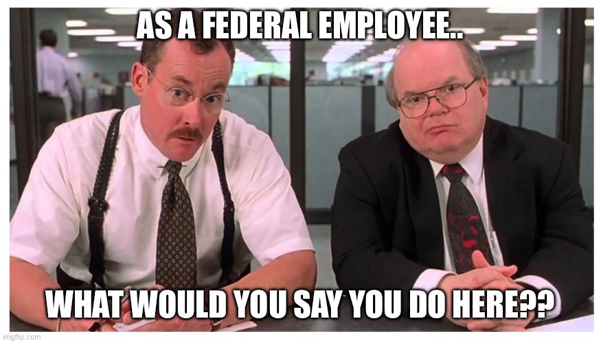 The Bobs Office Space | AS A FEDERAL EMPLOYEE.. WHAT WOULD YOU SAY YOU DO HERE?? | image tagged in funny memes | made w/ Imgflip meme maker