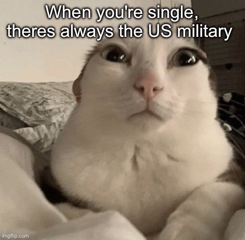 goober | When you're single, theres always the US military | image tagged in goober | made w/ Imgflip meme maker