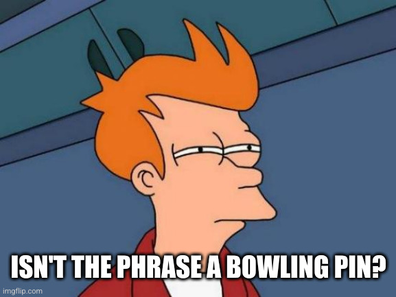 Futurama Fry Meme | ISN'T THE PHRASE A BOWLING PIN? | image tagged in memes,futurama fry | made w/ Imgflip meme maker