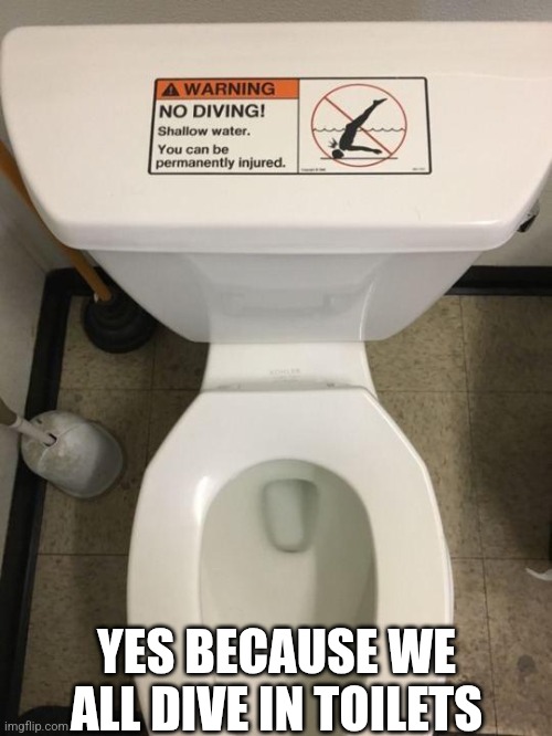 Yes Because We All Dive In Toliets | YES BECAUSE WE ALL DIVE IN TOILETS | image tagged in chris joines | made w/ Imgflip meme maker