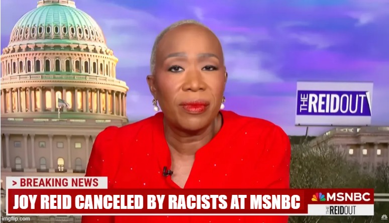 And your outa here | JOY REID CANCELED BY RACISTS AT MSNBC | image tagged in joy reid,msnbc,racist,al sharpton,maga,doge | made w/ Imgflip meme maker