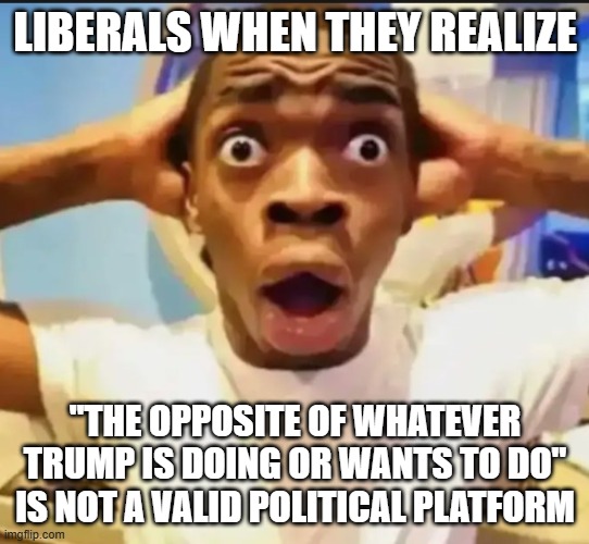 Surprised Black Guy | LIBERALS WHEN THEY REALIZE "THE OPPOSITE OF WHATEVER TRUMP IS DOING OR WANTS TO DO" IS NOT A VALID POLITICAL PLATFORM | image tagged in surprised black guy | made w/ Imgflip meme maker