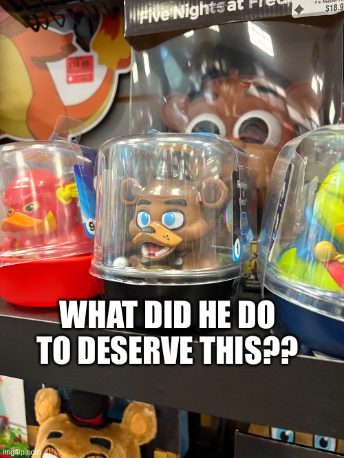 I found this at GameStop | WHAT DID HE DO TO DESERVE THIS?? | image tagged in fnaf,ducks | made w/ Imgflip meme maker