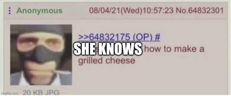 Does she know how to make a grilled cheese | SHE KNOWS | image tagged in does she know how to make a grilled cheese | made w/ Imgflip meme maker