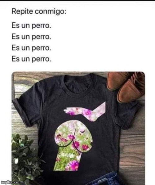 9l8mvf.jpg