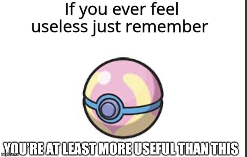 If you ever feel useless remember this | YOU’RE AT LEAST MORE USEFUL THAN THIS | image tagged in if you ever feel useless remember this | made w/ Imgflip meme maker