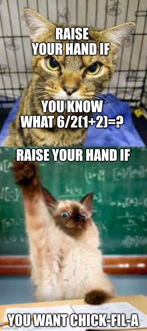 cat meme | RAISE YOUR HAND IF; YOU KNOW WHAT 6/2(1+2)=? RAISE YOUR HAND IF; YOU WANT CHICK-FIL-A | image tagged in raised hand cat | made w/ Imgflip meme maker