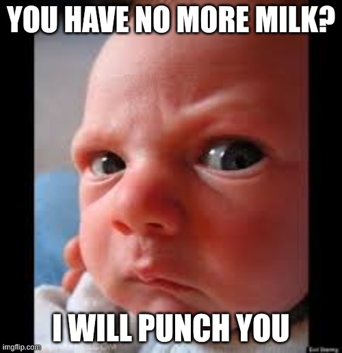 Mad or bothered baby | YOU HAVE NO MORE MILK? I WILL PUNCH YOU | image tagged in mad or bothered baby | made w/ Imgflip meme maker