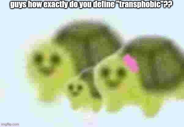 low quality turtle family | guys how exactly do you define "transphobic"?? | image tagged in low quality turtle family | made w/ Imgflip meme maker