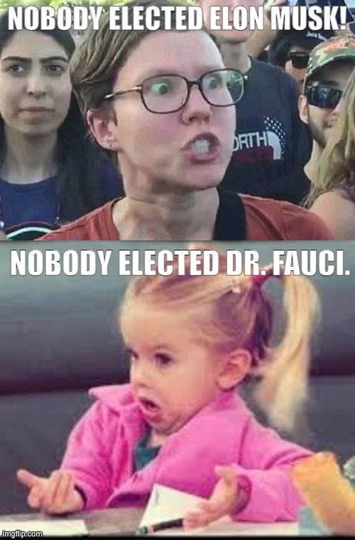 NOBODY ELECTED ELON MUSK! NOBODY ELECTED DR. FAUCI. | image tagged in triggered liberal,little girl dunno | made w/ Imgflip meme maker