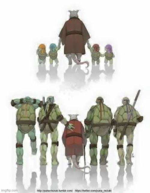 Old splinter tmnt | image tagged in old splinter tmnt | made w/ Imgflip meme maker