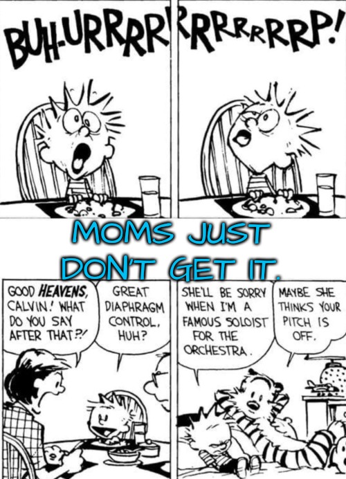 Ah, Mom! | MOMS JUST DON'T GET IT. | image tagged in calvin and hobbes,burping | made w/ Imgflip meme maker