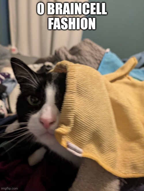 No braincells | 0 BRAINCELL FASHION | image tagged in there's no brain here | made w/ Imgflip meme maker