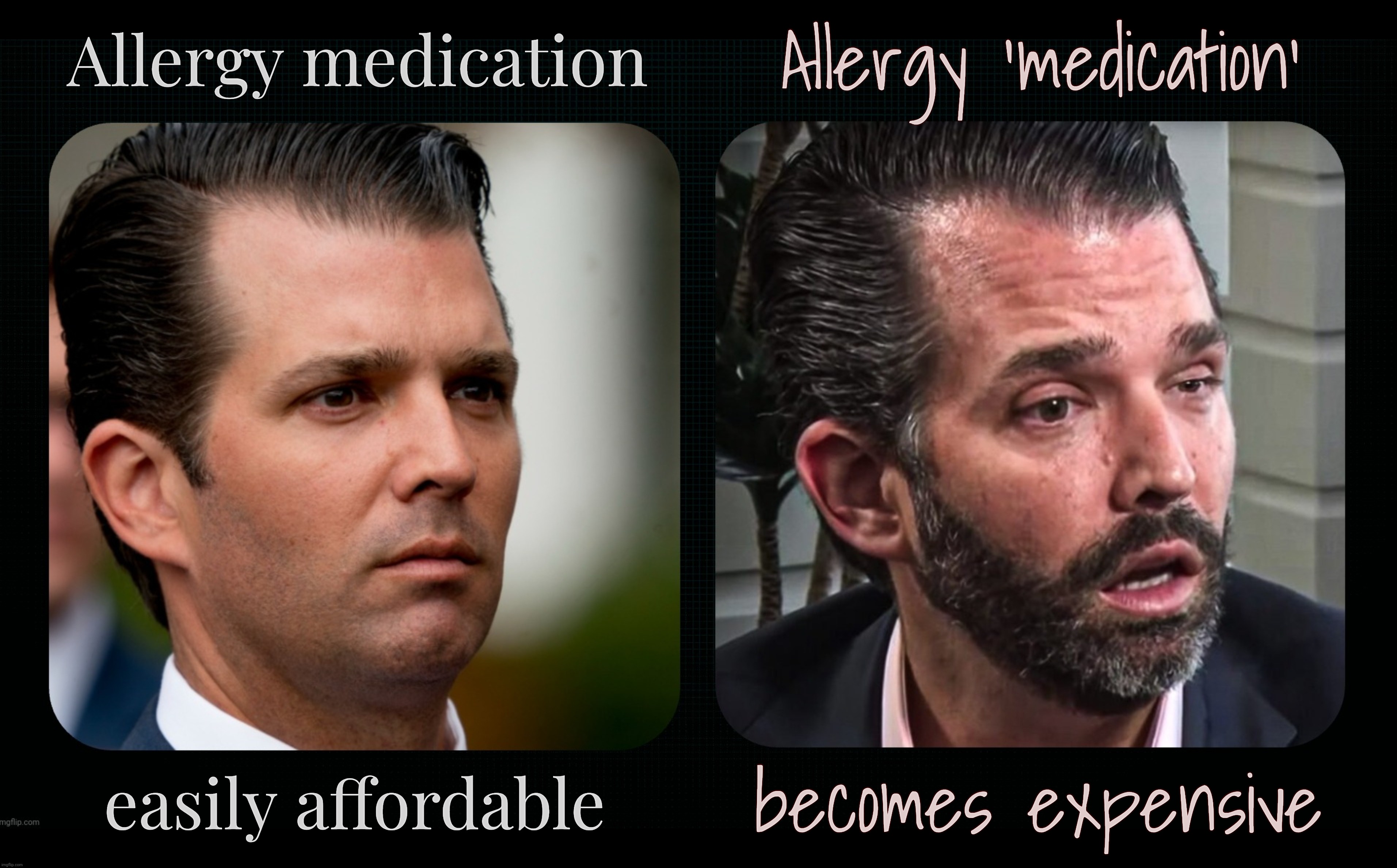 Donald Trump Jr. Because 'self medicating' for 'allergies' *wink* does not do the airhead apparent good, mkay? | Allergy 'medication'; Allergy medication; becomes expensive; easily affordable | image tagged in donald trump jr,how it was,how it's going,he says he has allergies,whatever you say bud,walks quacks duck | made w/ Imgflip meme maker