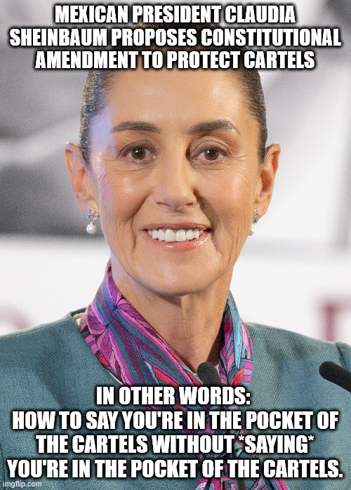 A strong independent woman who don't need no Cartel. | MEXICAN PRESIDENT CLAUDIA SHEINBAUM PROPOSES CONSTITUTIONAL AMENDMENT TO PROTECT CARTELS; IN OTHER WORDS: 
HOW TO SAY YOU'RE IN THE POCKET OF THE CARTELS WITHOUT *SAYING* YOU'RE IN THE POCKET OF THE CARTELS. | image tagged in cartel queen | made w/ Imgflip meme maker