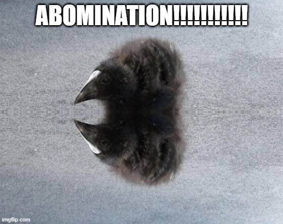 ABOMINATION!!!!!!!!!!! | made w/ Imgflip meme maker