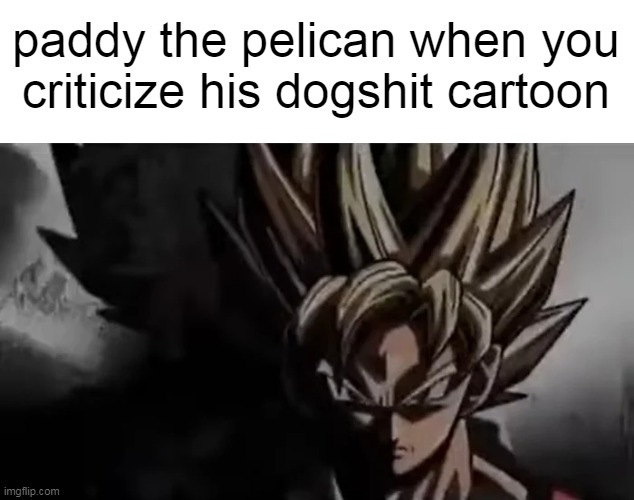 Goku Staring | paddy the pelican when you criticize his dogshit cartoon | image tagged in goku staring | made w/ Imgflip meme maker