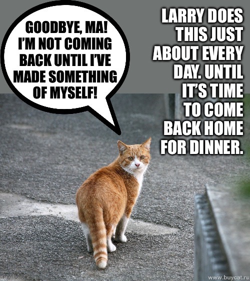 You can’t be ambitious on an empty stomach… | LARRY DOES 
THIS JUST 
ABOUT EVERY 
DAY. UNTIL 
IT’S TIME 
TO COME 
BACK HOME 
FOR DINNER. | made w/ Imgflip meme maker