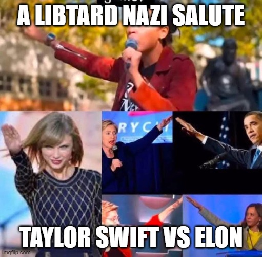 And They Call Elon and Republicans Nazi's? | A LIBTARD NAZI SALUTE; TAYLOR SWIFT VS ELON | image tagged in and they call elon and republicans nazi's | made w/ Imgflip meme maker