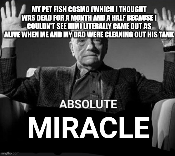 Absolute Cinema | MY PET FISH COSMO (WHICH I THOUGHT WAS DEAD FOR A MONTH AND A HALF BECAUSE I COULDN'T SEE HIM) LITERALLY CAME OUT AS ALIVE WHEN ME AND MY DAD WERE CLEANING OUT HIS TANK; MIRACLE | image tagged in absolute cinema | made w/ Imgflip meme maker