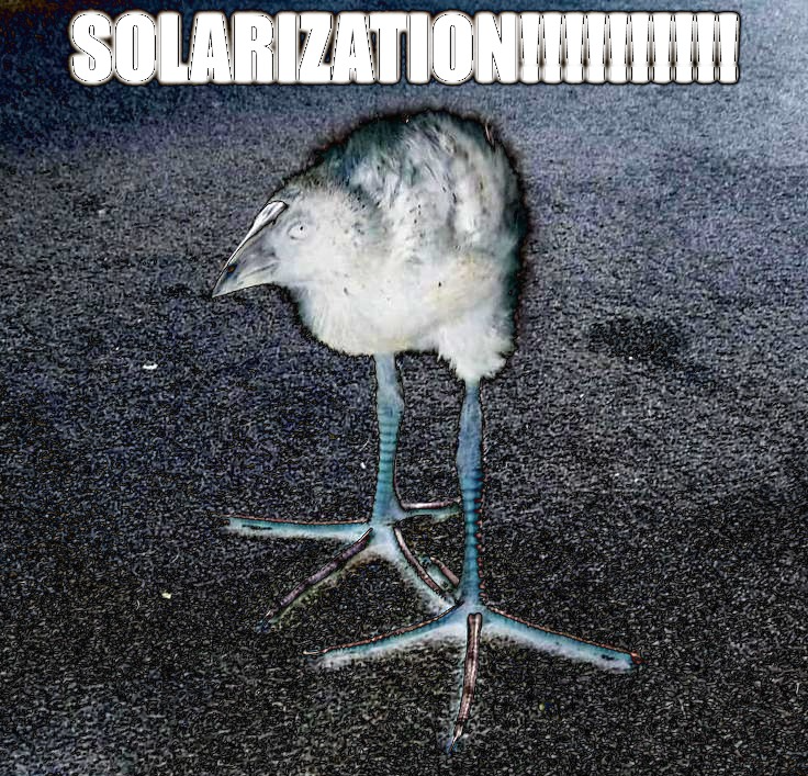 SOLARIZATION Blank Meme Template