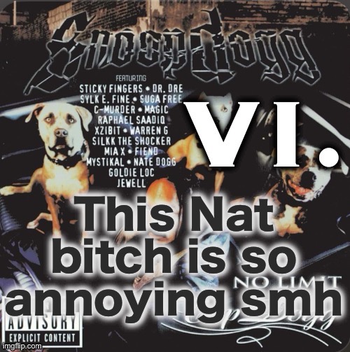 Vi. 2nd template | This Nat bitch is so annoying smh | image tagged in vi 2nd template | made w/ Imgflip meme maker