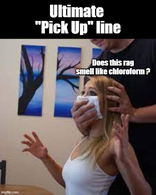 Ultimate 
"Pick Up" line Does this rag smell like chloroform ? | made w/ Imgflip meme maker