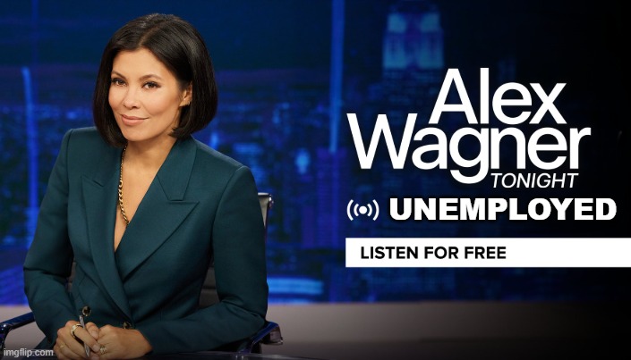 Alex Wagner axed to | UNEMPLOYED | image tagged in alex wagner,msnbc,rachel maddow,fake news,mainstream media,doge | made w/ Imgflip meme maker