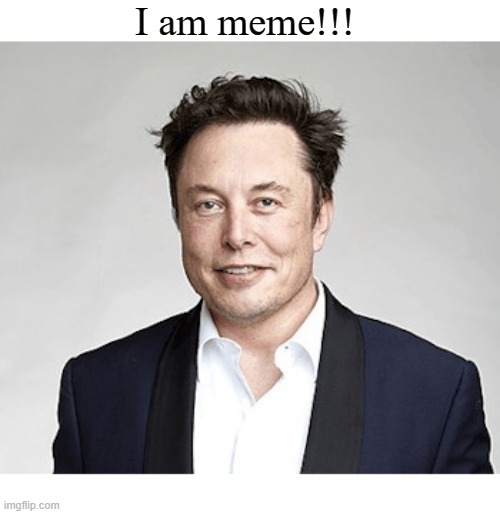 fr | I am meme!!! | image tagged in fr,elon musk,memes,i am meme | made w/ Imgflip meme maker