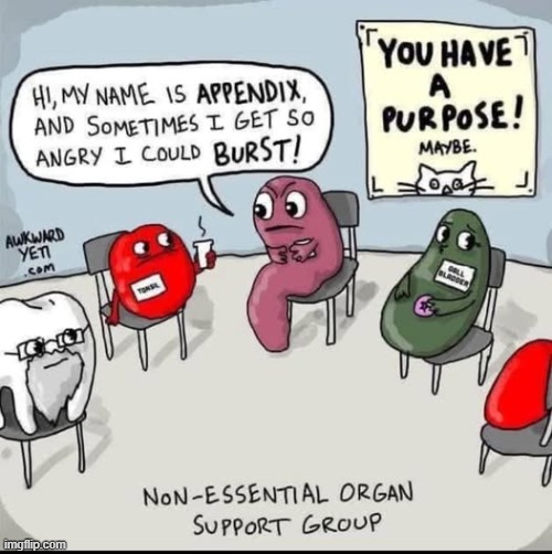 Tonsils are actually important though. | image tagged in memes,comics,organs | made w/ Imgflip meme maker